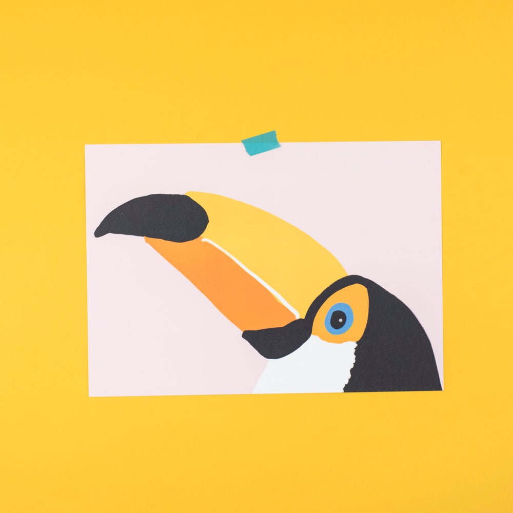 Toucan print