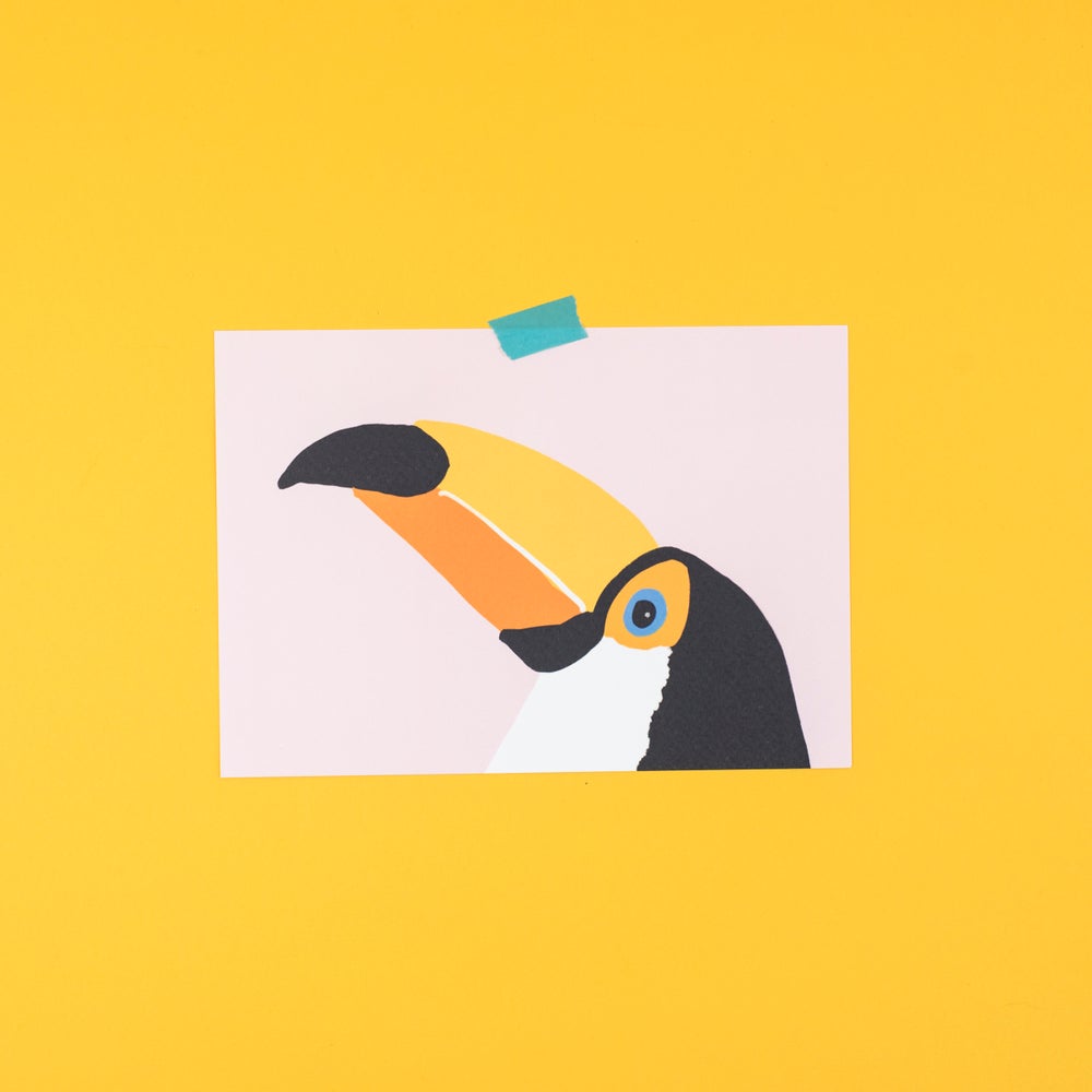 Toucan print